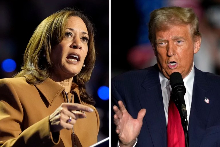 Final countdown: Voters in these battleground states will decide who wins the presidency