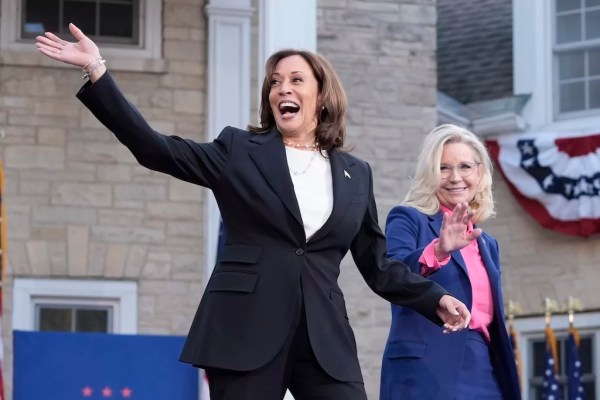 The ‘single woke female’ election