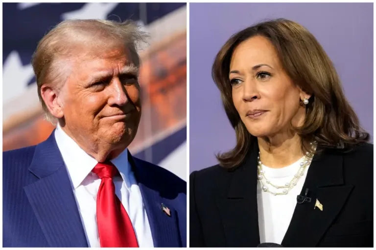 Progressive dark money group misinforms battleground-state voters