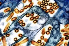 Why biodefense must be a national security priority