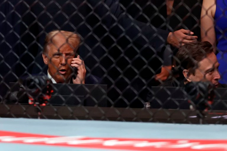 Trump appears for first UFC fight since winning election