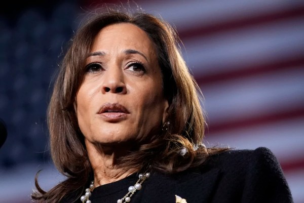 Democrats play the blame game after Harris flop