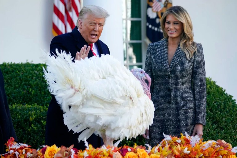 How the White House Thanksgiving Turkey pardon came to be