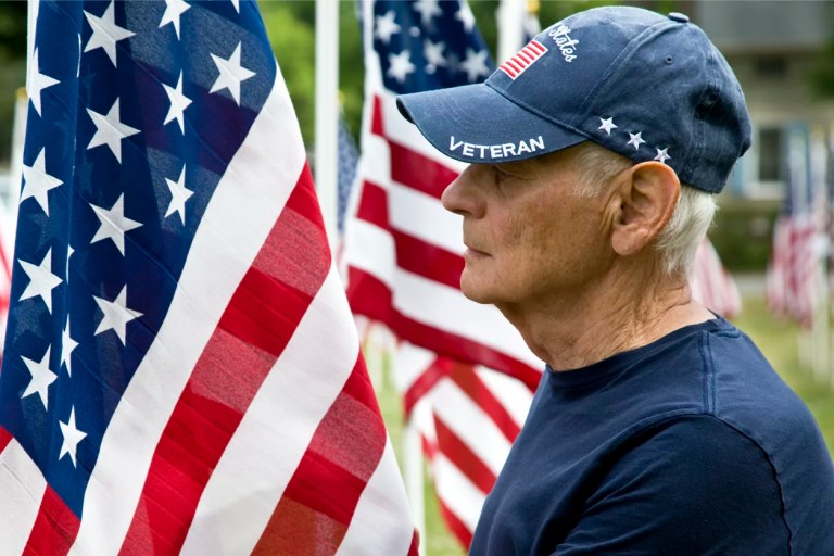 Make Veterans Day great again