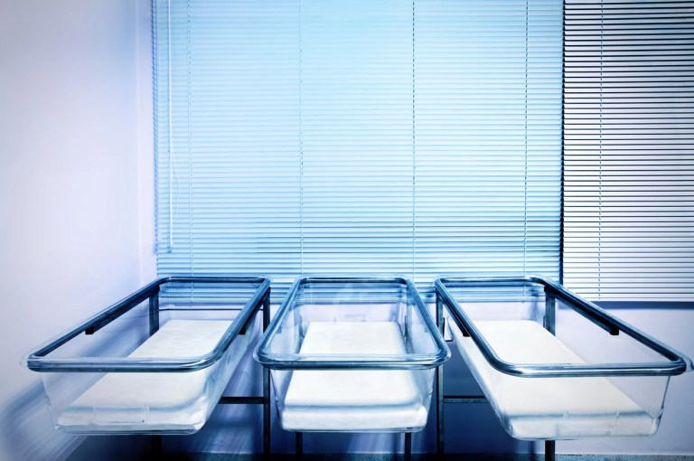 From baby boom to baby bust