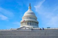 These eight states are set to decide the Senate