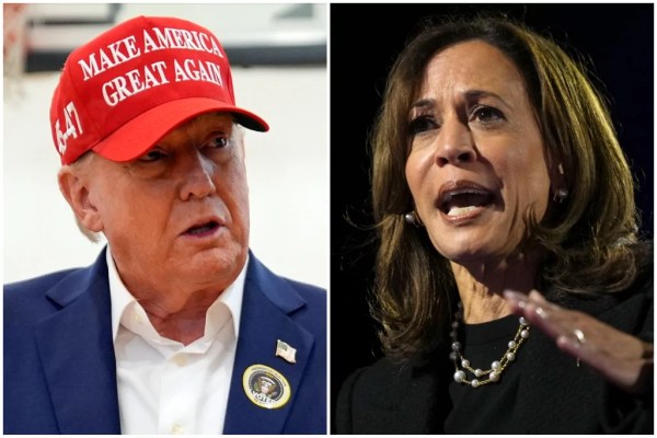 Election betting odds: Trump’s chances rise after faltering in final days of 2024 race