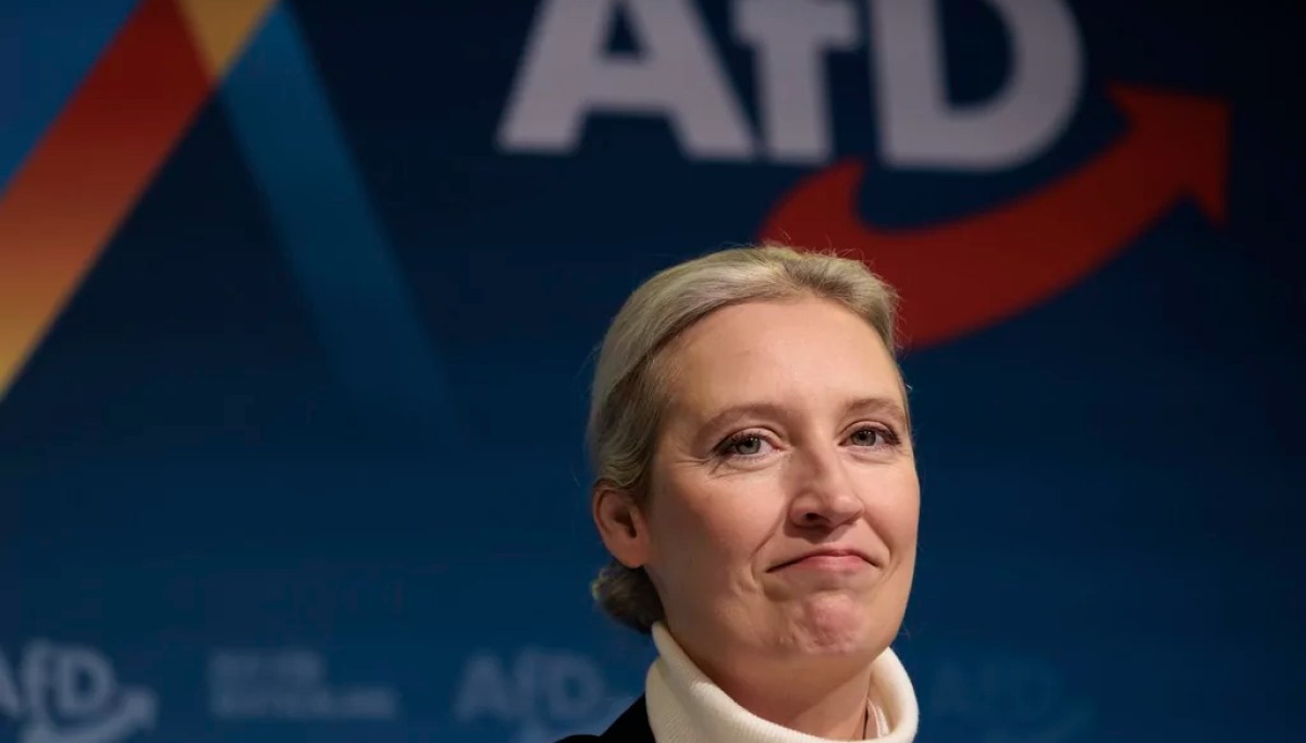 Musk wades into international politics with endorsement of Germany's ...