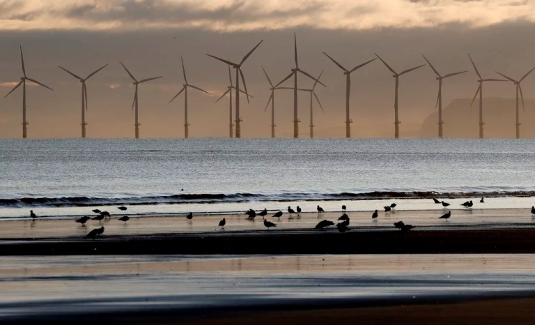The winds of change: Offshore wind’s role in a future Trump administration