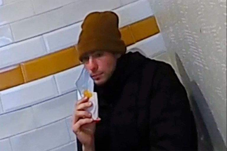 Google deletes negative reviews of McDonald’s where accused CEO killer caught
