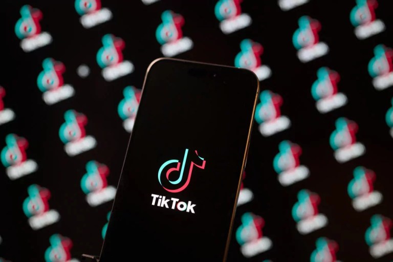 TikTok files emergency motion to stop ban from taking place