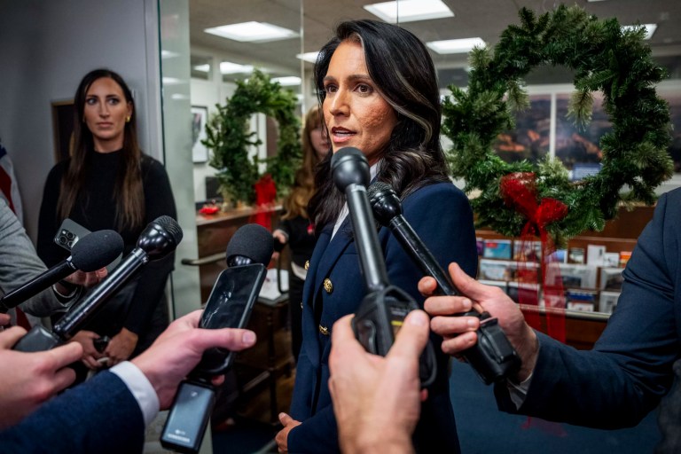 Tulsi Gabbard faces questions over views on Syria after sudden collapse of Assad rule Tulsi Gabbard faces questions over views on Syria after sudden collapse of Assad rule
