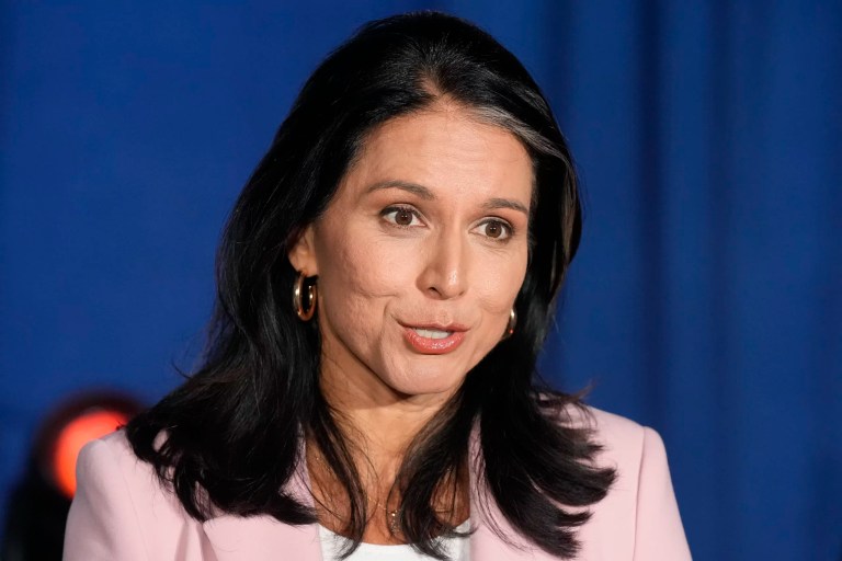 Intelligence community insiders warn against Tulsi Gabbard as DNI: ‘Serious red flags’ Intelligence community insiders warn against Tulsi Gabbard as DNI: ‘Serious red flags’