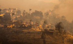 Business reports give the lie to climate alarmism