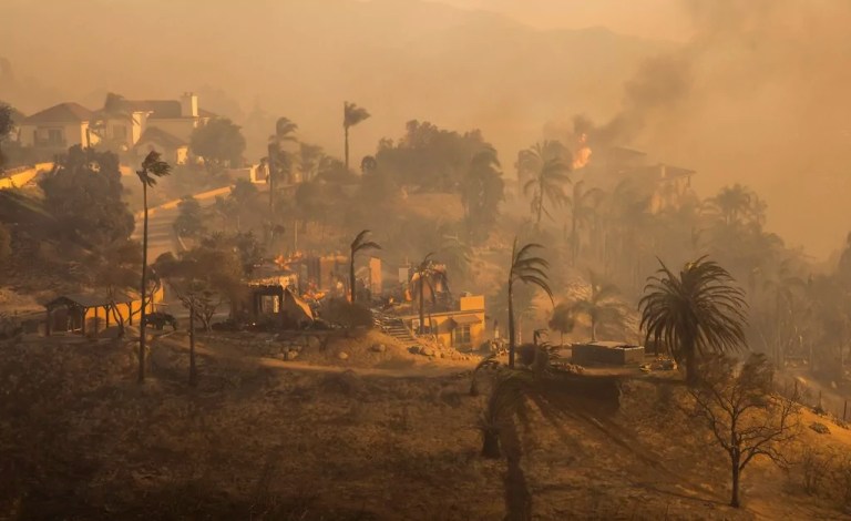Business reports give the lie to climate alarmism