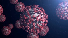 Trump slams lid on gain-of-function research