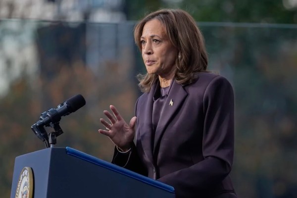 DNC official scorches ‘delusions’ of Harris considering 2028 bid