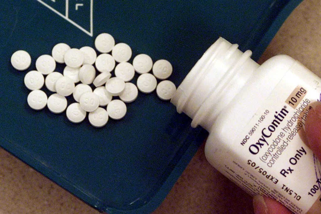 Florida opioid deaths decreasing, and more recommendations to help offered