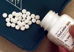 Florida opioid deaths decreasing, and more recommendations to help offered