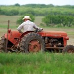 Rural America is consequential in the congressional midterm elections