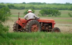 Rural America is consequential in the congressional midterm elections