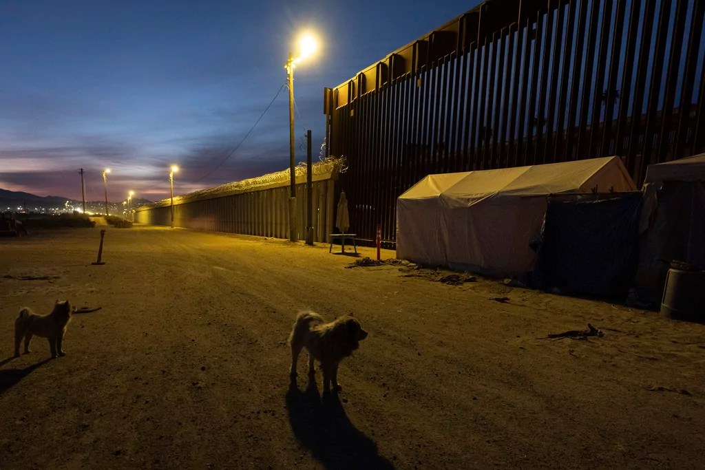 Why Trump’s decision to label cartels as terrorists matters