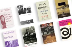 Didion mania