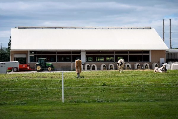 Georgia shuts down all poultry operations after bird flu detected in commercial plant