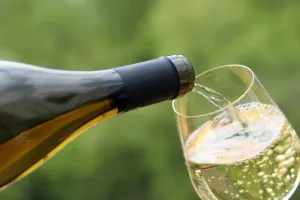 French Champagne output evaporates by half in scorching heat wave