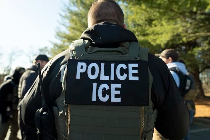 Back of an Immigration and Customs Enforcement Field Officer, Monday, Jan. 27, 2025.