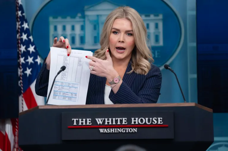 DOGE brought receipts: Leavitt’s list of waste found by Musk and team