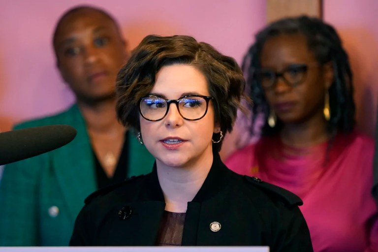 Michigan state lawmaker sterilizes herself to avoid pregnancy in ‘Trump’s America’