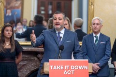 Congress must deep-six deepfake porn