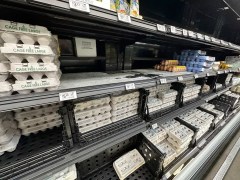 Egg prices so high Americans are smuggling them over the border