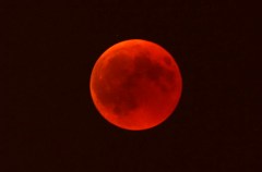 Blood moon: When to watch the total lunar eclipse tonight