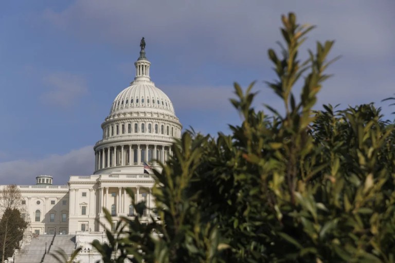 The Capitol Building in Washington DC