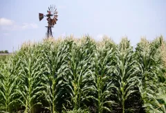 Trump tells US farmers to prepare for external tariffs next month: ‘Have fun!’