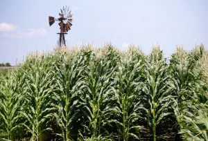Farmers have gotten ‘astronomical’ $43 billion in subsidies directly from Trump administration