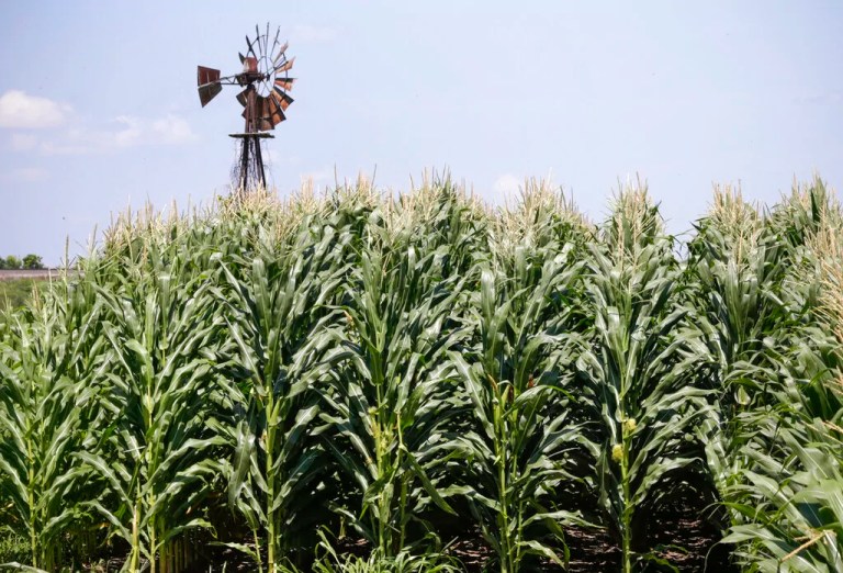 President Donald Trump says U.S. farmers should prepare for tariffs to hit on April 2.