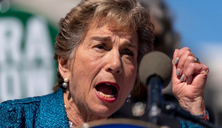 House Democrats draw progressive challengers in fight over Trump resistance