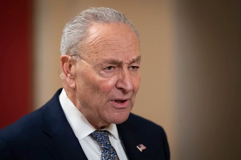 The View spars over whether Democrats are infighting after explosive Schumer interview