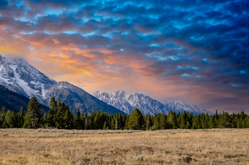 It’s time to restore local control to Western land