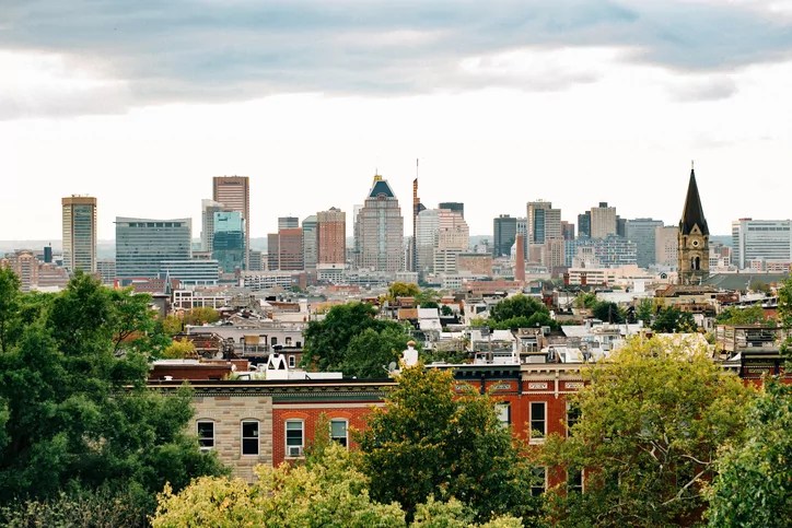 Brandon Gill grills Democratic witness defending Baltimore as safe city