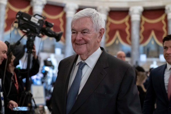 Gingrich laughs at ‘deranged’ Democrats falling into Trump’s trap: ‘It’s funny’