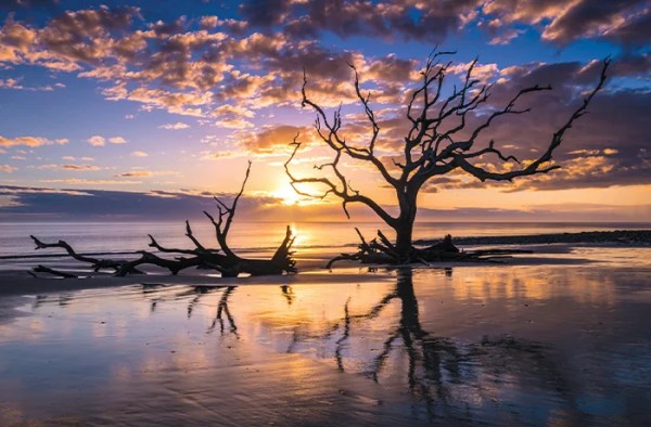 By Georgia: Review of ‘Origins of the Georgia Coast: Retracing the Rich History of the Georgia Lowcountry’ by William PA Hunt