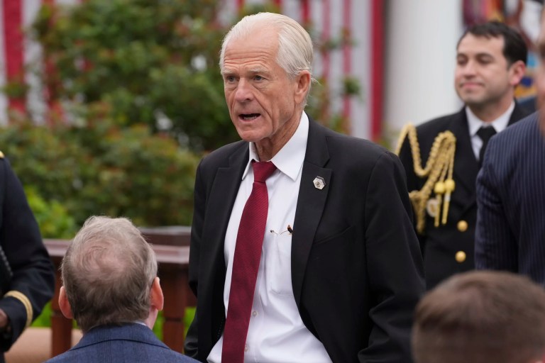 Navarro seeks to cool tension with Musk over tariffs: ‘There’s no rift here’