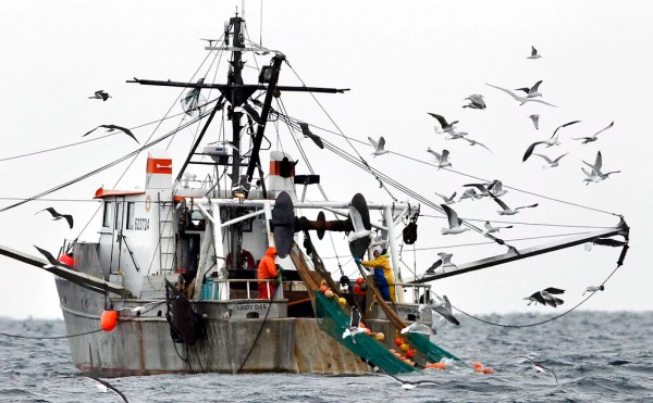 US shrimp industry hails ‘Liberation Day’ tariffs as saving domestic shrimpers