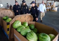 US customs braces for ‘huge task’ of enforcing Trump tariffs and finding cheats