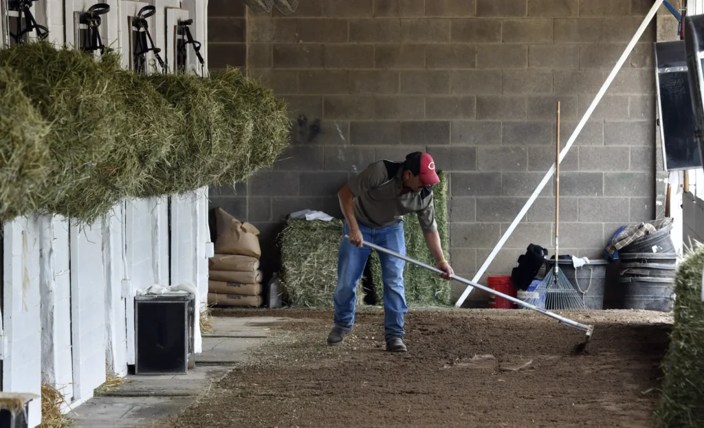 Summer is around the
corner, and the US needs more seasonal worker visas