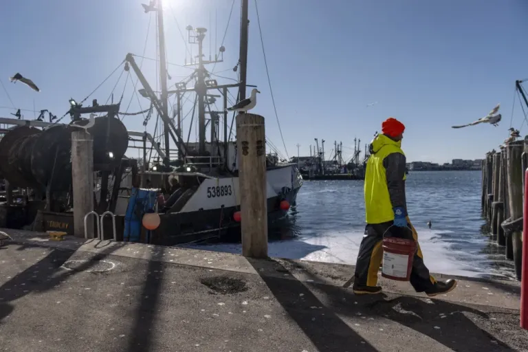 A fisherman carries supplies to a boat in the Port of Galilee.